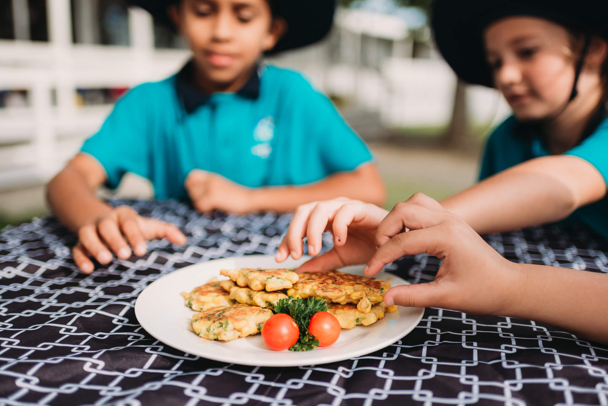 Hobsonville-School-garden-to-table-55